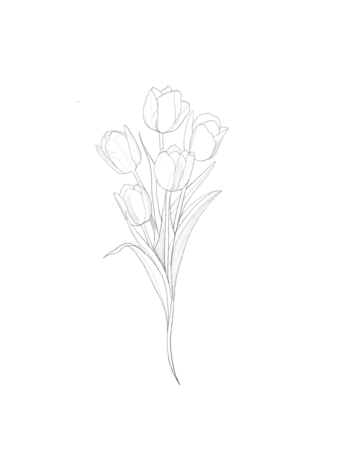 ARCHIVO - Floral 006
