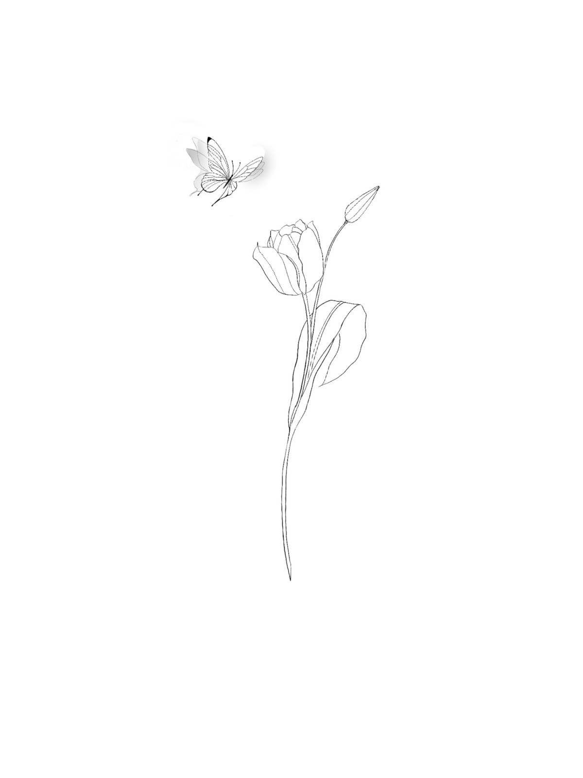 ARCHIVO - Floral 008