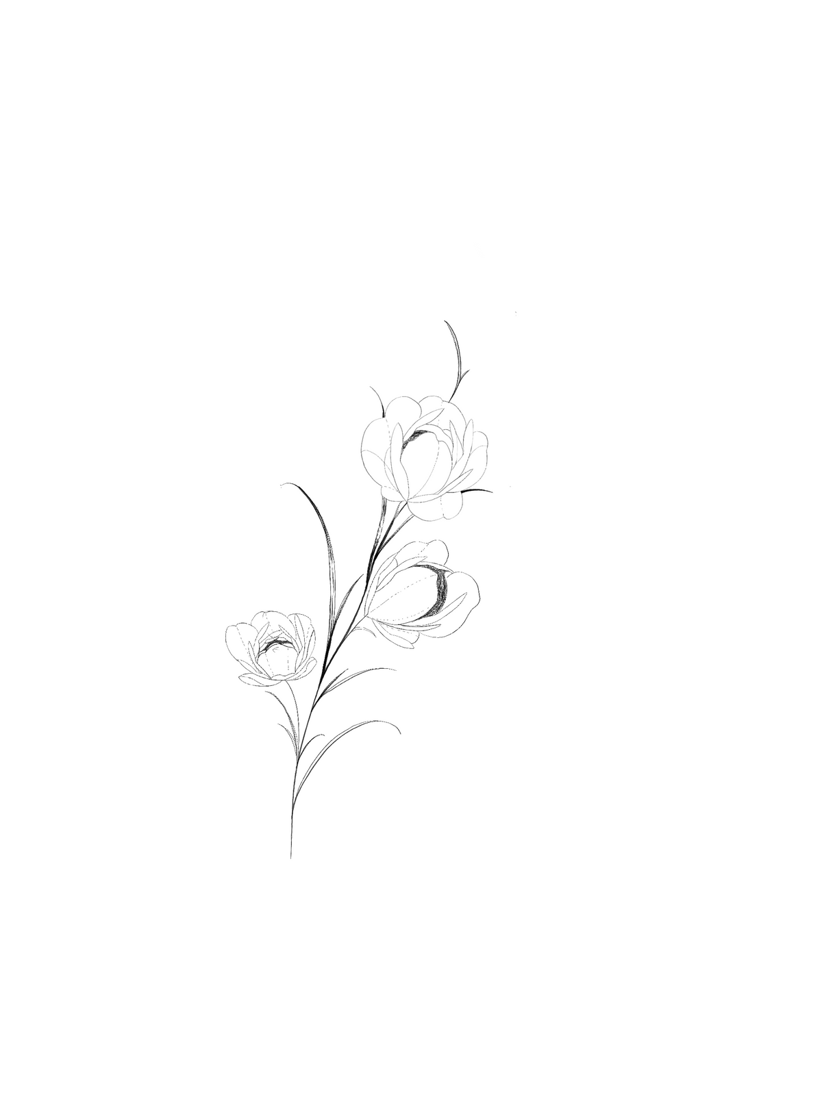 ARCHIVO - Floral 002
