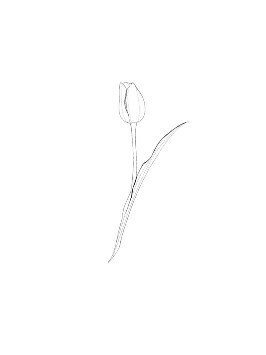 ARCHIVO - Floral 005