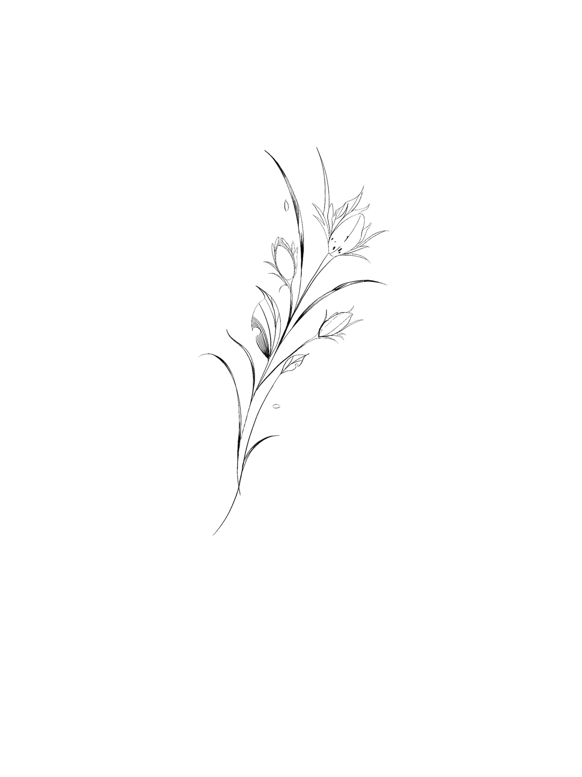 ARCHIVO - Floral 001