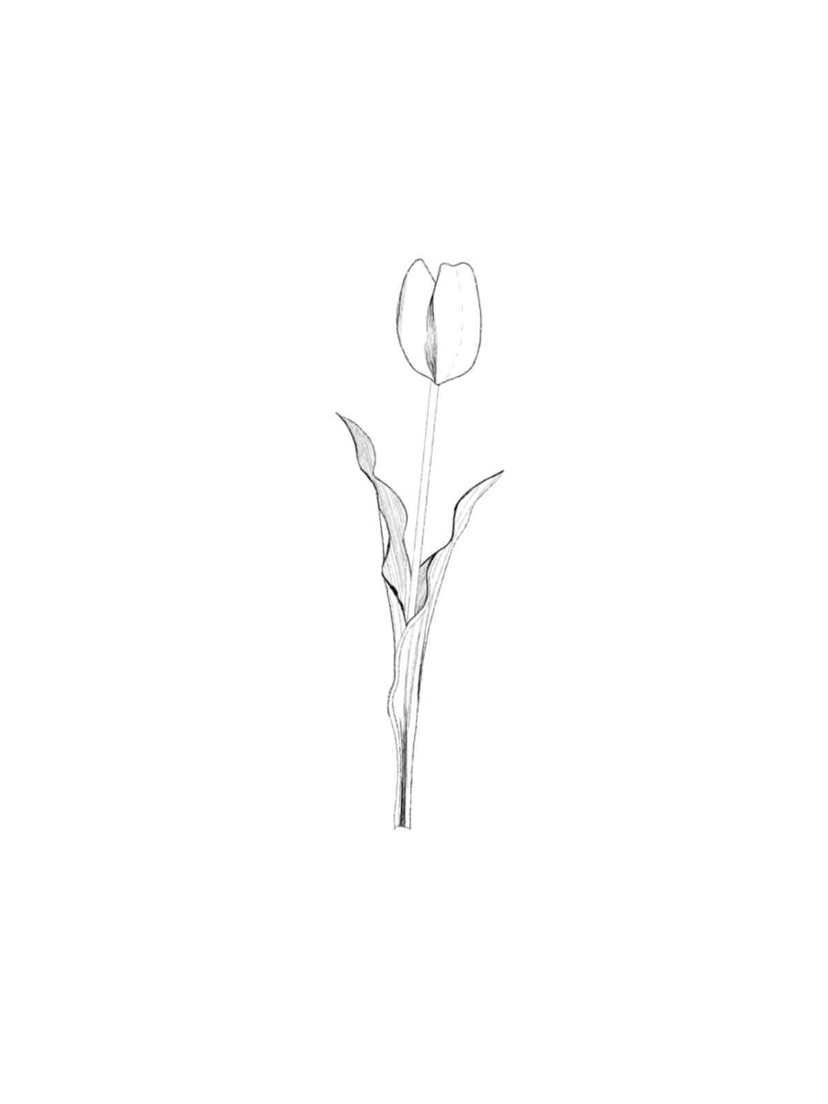 ARCHIVO - Floral 004
