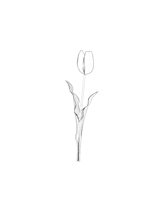 ARCHIVO - Floral 004
