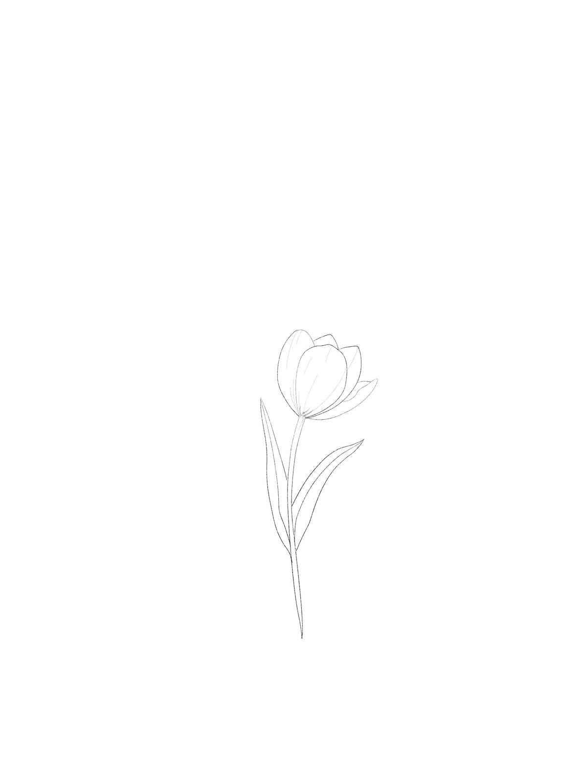 ARCHIVO - Floral 012