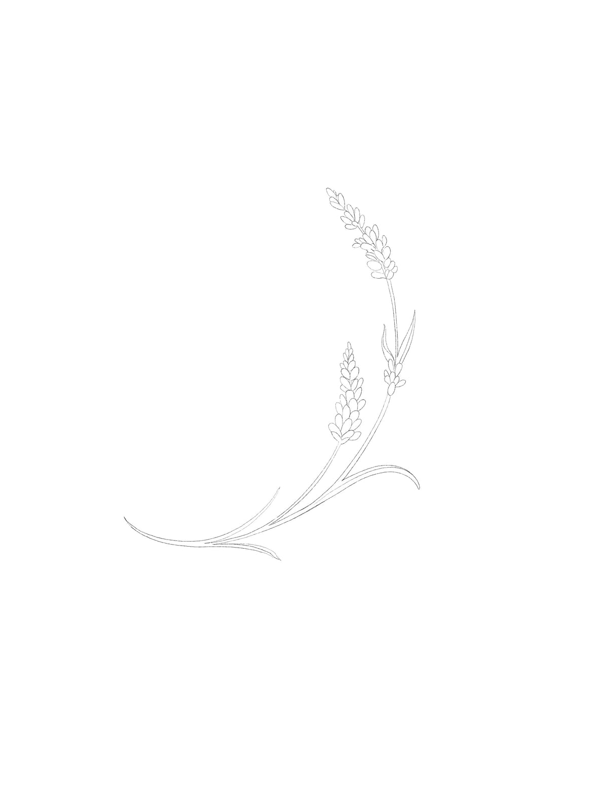 ARCHIVO - Floral 011