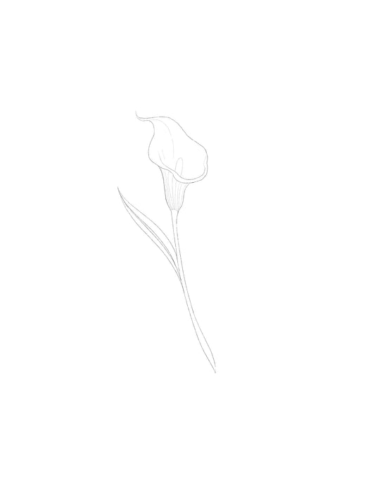 ARCHIVO - Floral 010
