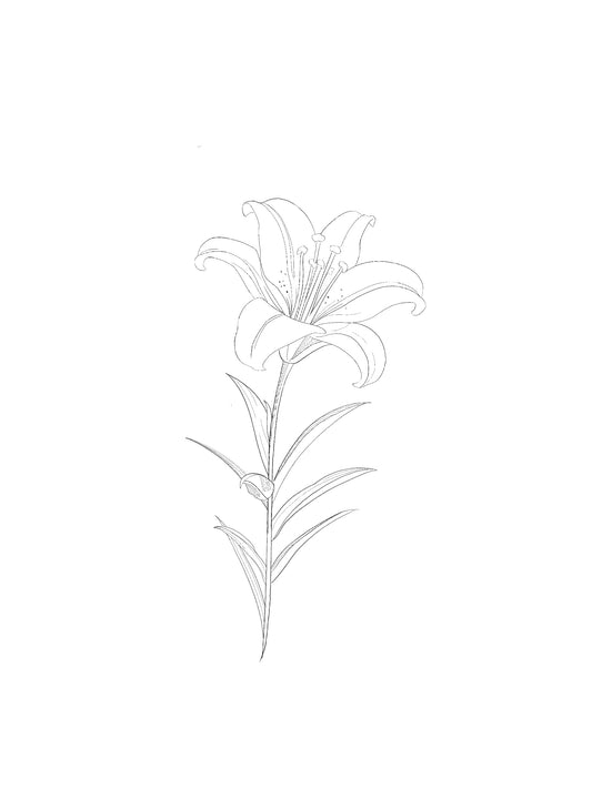 ARCHIVO - Floral 009